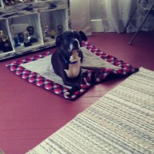 Meet your Posher, Barry